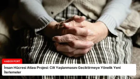 İnsan Hücresi Atlası Projesi: Cilt Yaşlanmasını Geciktirmeye Yönelik Yeni İlerlemeler