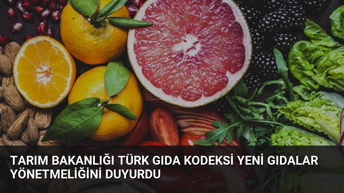 Tarım Bakanlığı Türk Gıda Kodeksi Yeni Gıdalar Yönetmeliğini Duyurdu