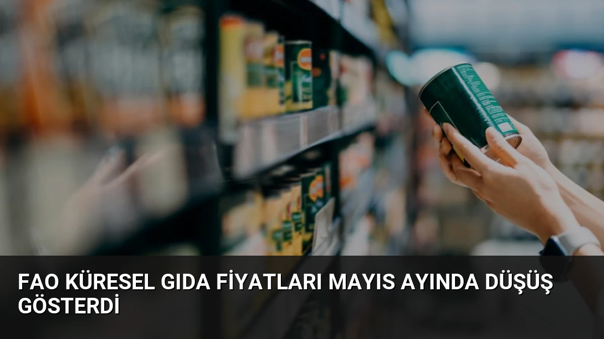 FAO Küresel Gıda Fiyatları Mayıs Ayında Düşüş Gösterdi