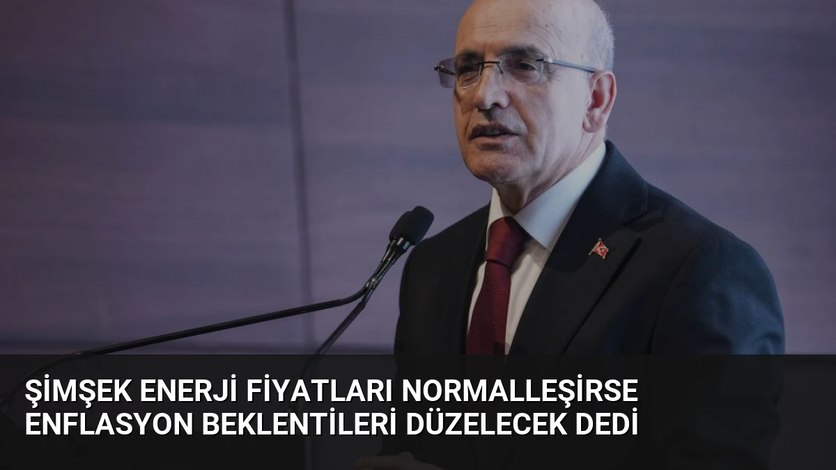 Şimşek Enerji Fiyatları Normalleşirse Enflasyon Beklentileri Düzelecek Dedi