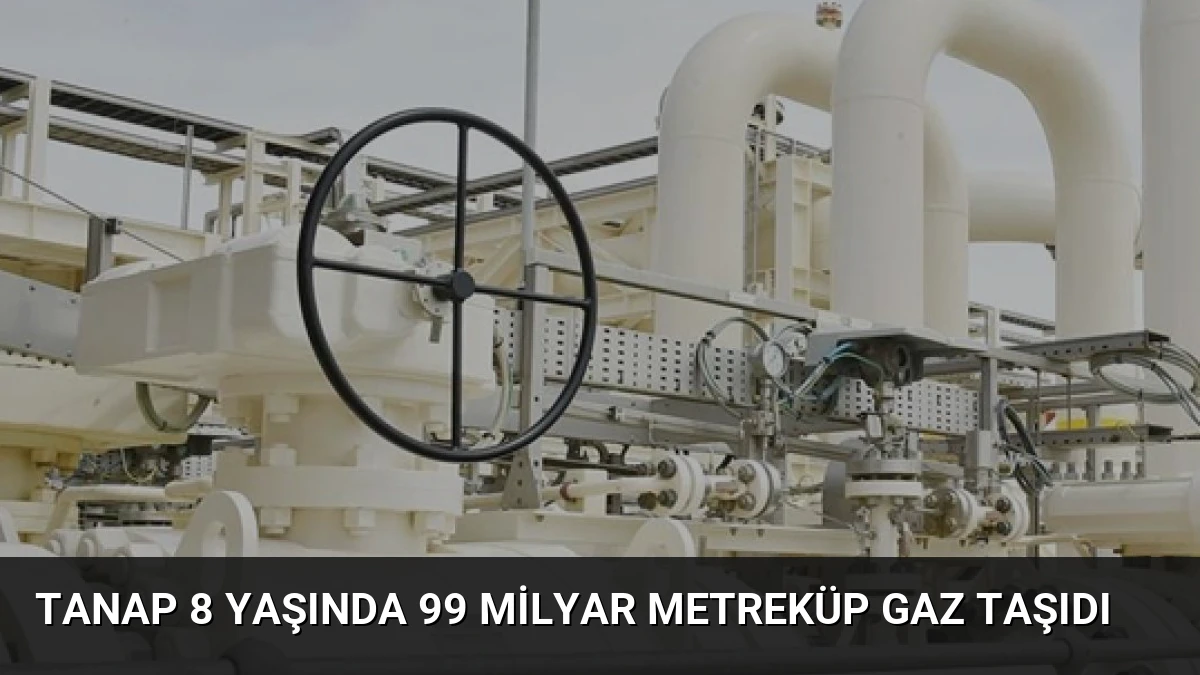 TANAP 8 Yaşında 99 Milyar Metreküp Gaz Taşıdı
