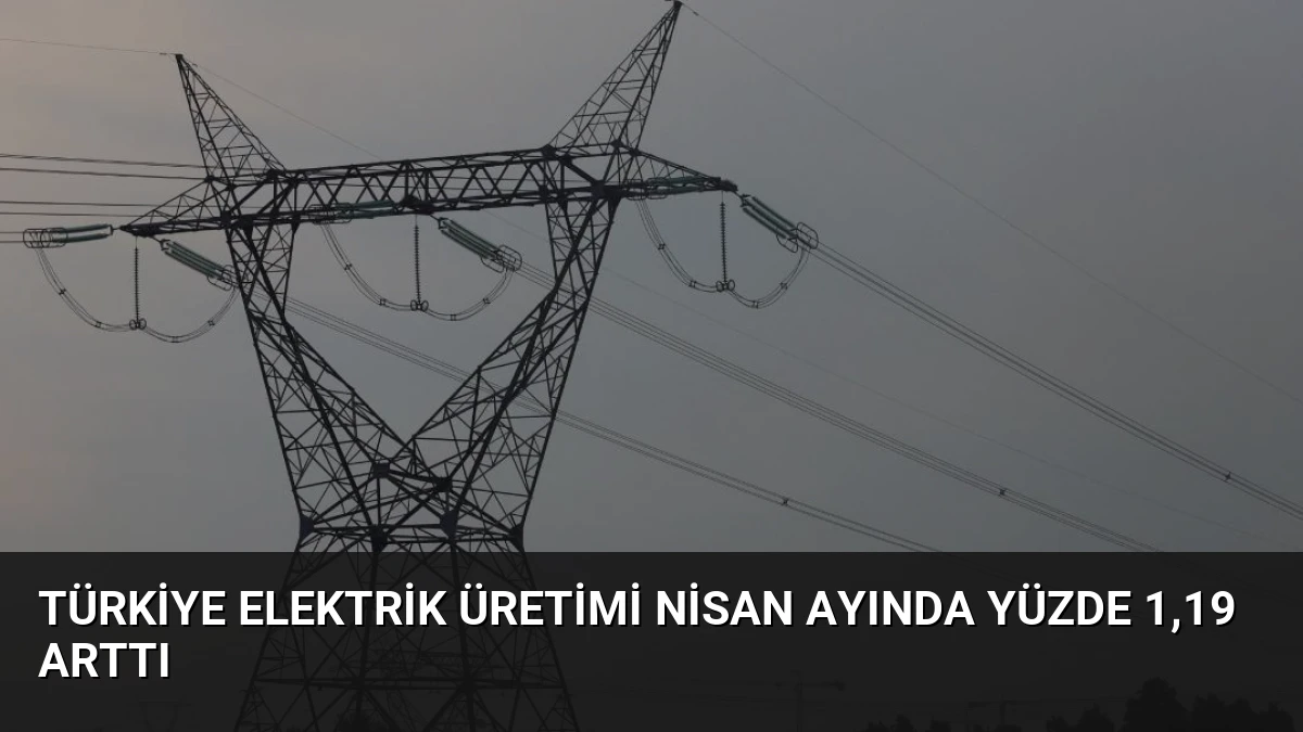 Türkiye Elektrik Üretimi Nisan Ayında Yüzde 1,19 Arttı