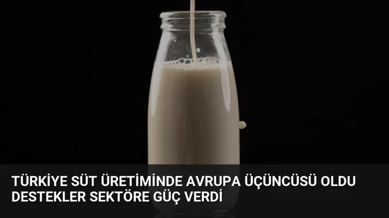 Türkiye Süt Üretiminde Avrupa Üçüncüsü Oldu Destekler Sektöre Güç Verdi