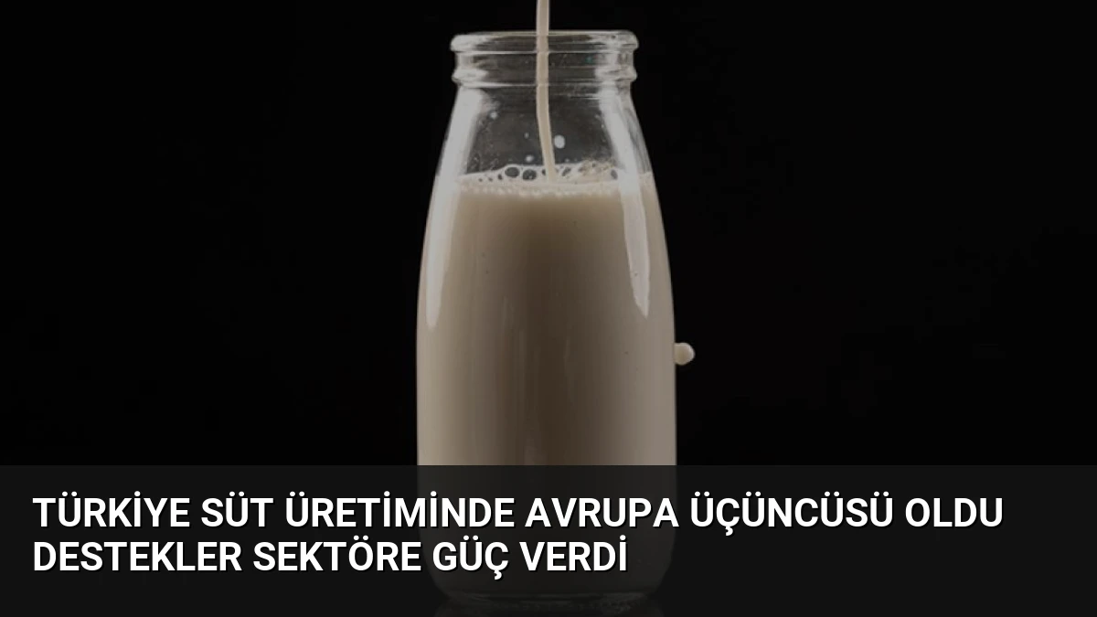 Türkiye Süt Üretiminde Avrupa Üçüncüsü Oldu Destekler Sektöre Güç Verdi