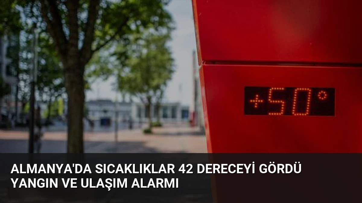 Almanya’da Sıcaklıklar 42 Dereceyi Gördü Yangın ve Ulaşım Alarmı