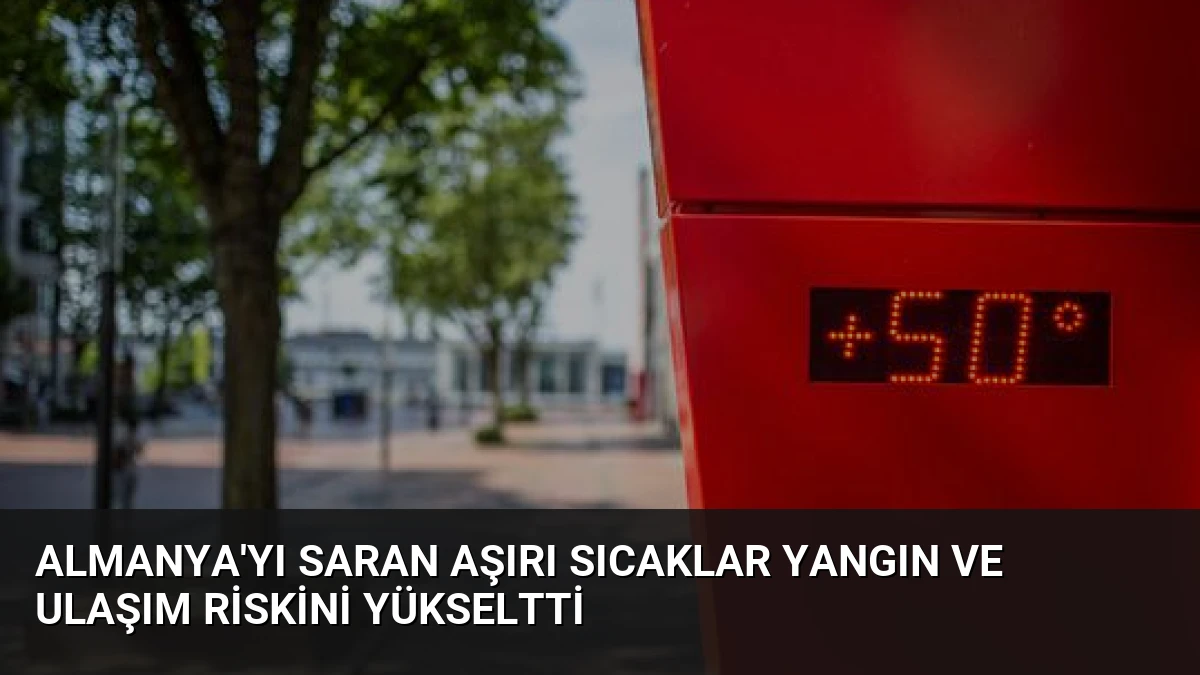 Almanya’yı saran aşırı sıcaklar yangın ve ulaşım riskini yükseltti