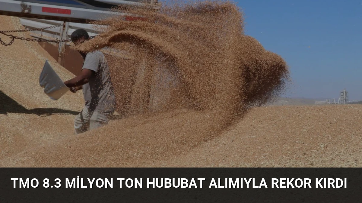 TMO 8.3 Milyon Ton Hububat Alımıyla Rekor Kırdı