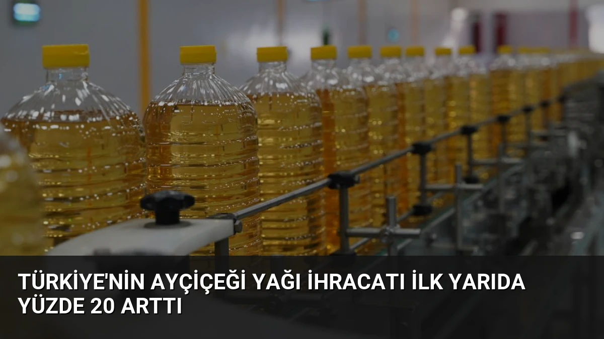 Türkiye’nin Ayçiçeği Yağı İhracatı İlk Yarıda Yüzde 20 Arttı