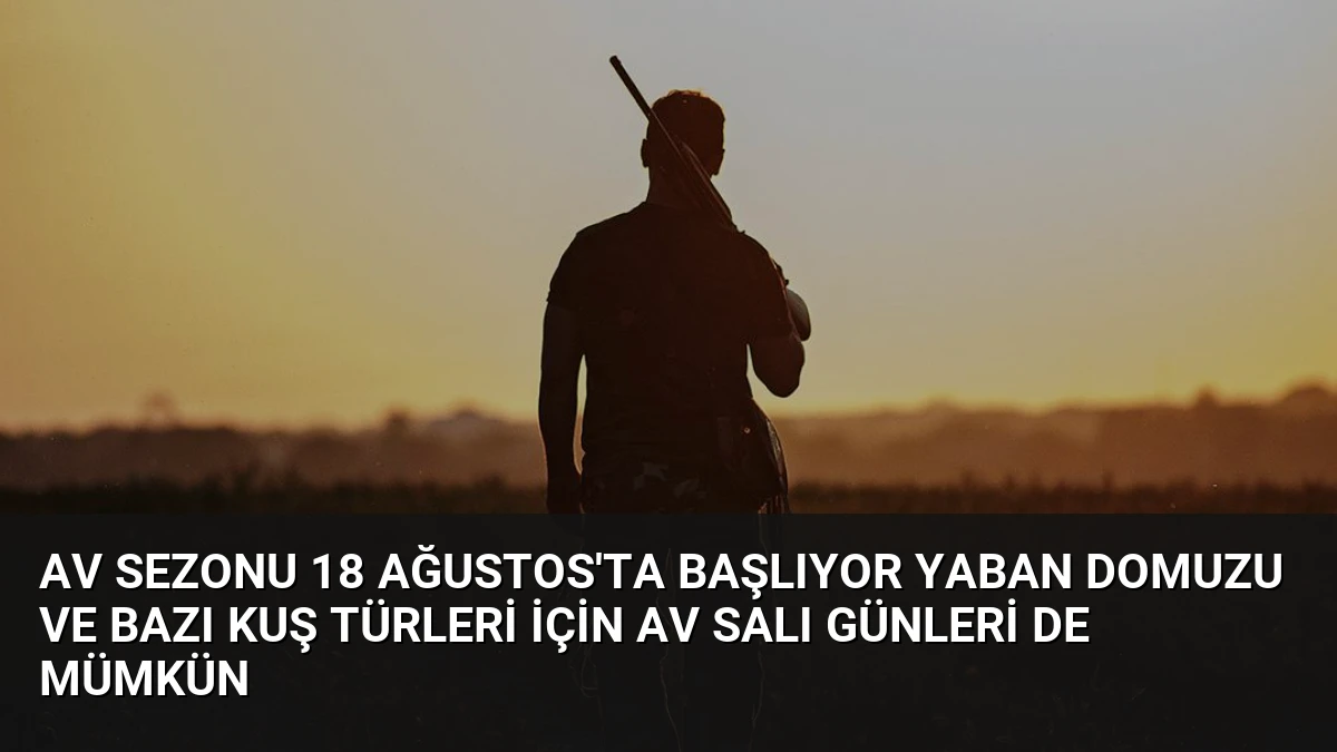 Av Sezonu 18 Ağustos’ta Başlıyor Yaban Domuzu ve Bazı Kuş Türleri İçin Av Salı Günleri De Mümkün