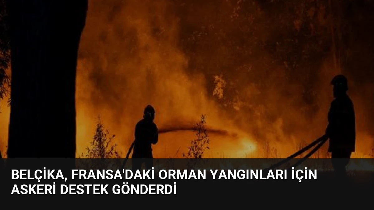 Belçika, Fransa’daki Orman Yangınları İçin Askeri Destek Gönderdi
