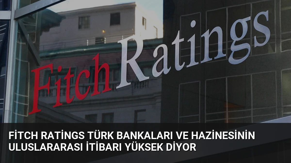 Fitch Ratings Türk Bankaları ve Hazinesinin Uluslararası İtibarı Yüksek Diyor
