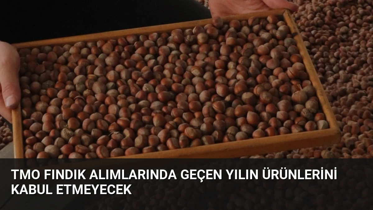 TMO Fındık Alımlarında Geçen Yılın Ürünlerini Kabul Etmeyecek