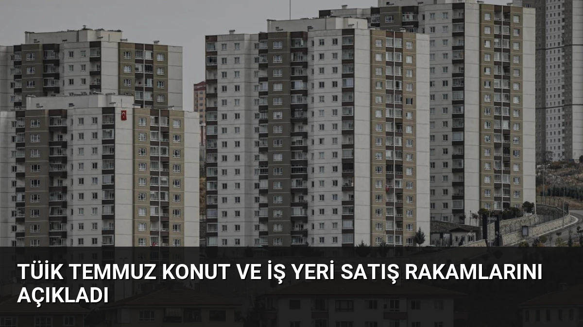 TÜİK Temmuz Konut ve İş Yeri Satış Rakamlarını Açıkladı