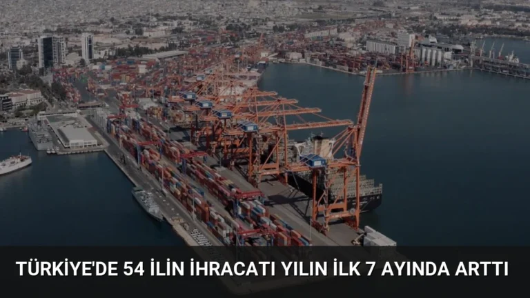 Türkiye’de 54 ilin ihracatı yılın ilk 7 ayında arttı