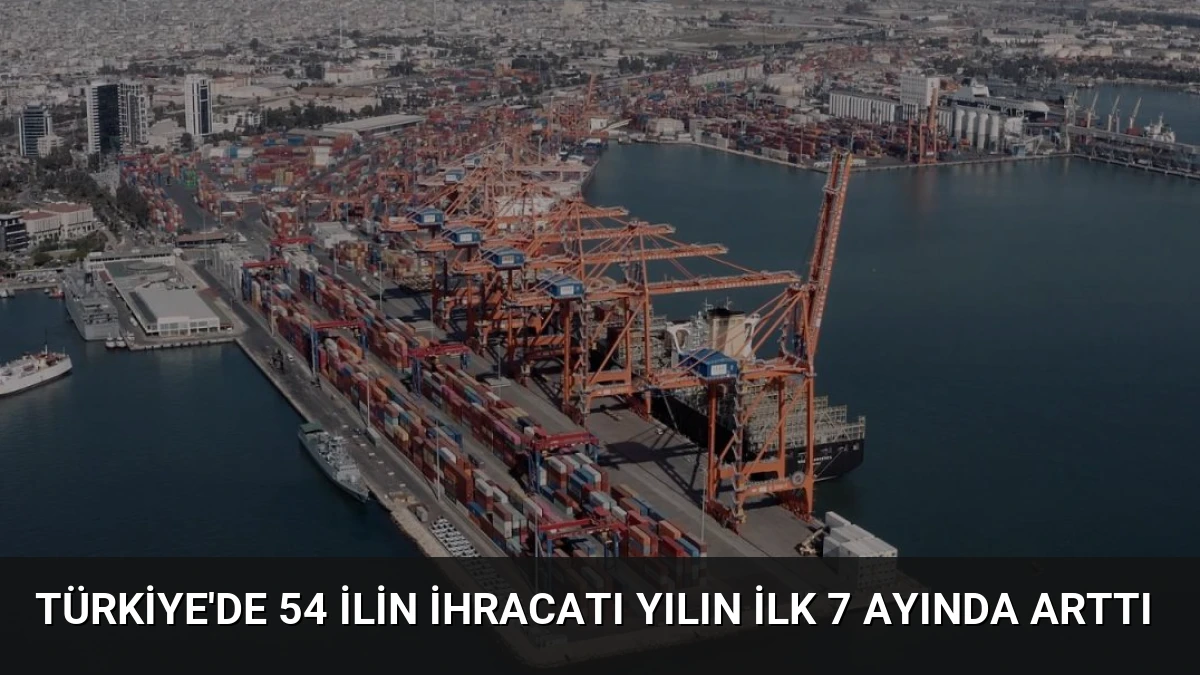 Türkiye’de 54 ilin ihracatı yılın ilk 7 ayında arttı