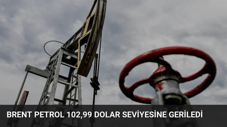 Brent Petrol 102,99 Dolar Seviyesine Geriledi