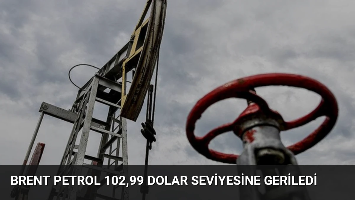 Brent Petrol 102,99 Dolar Seviyesine Geriledi