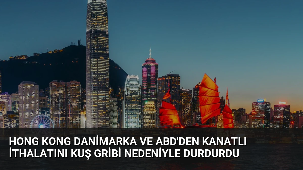 Hong Kong Danimarka ve ABD’den Kanatlı İthalatını Kuş Gribi Nedeniyle Durdurdu