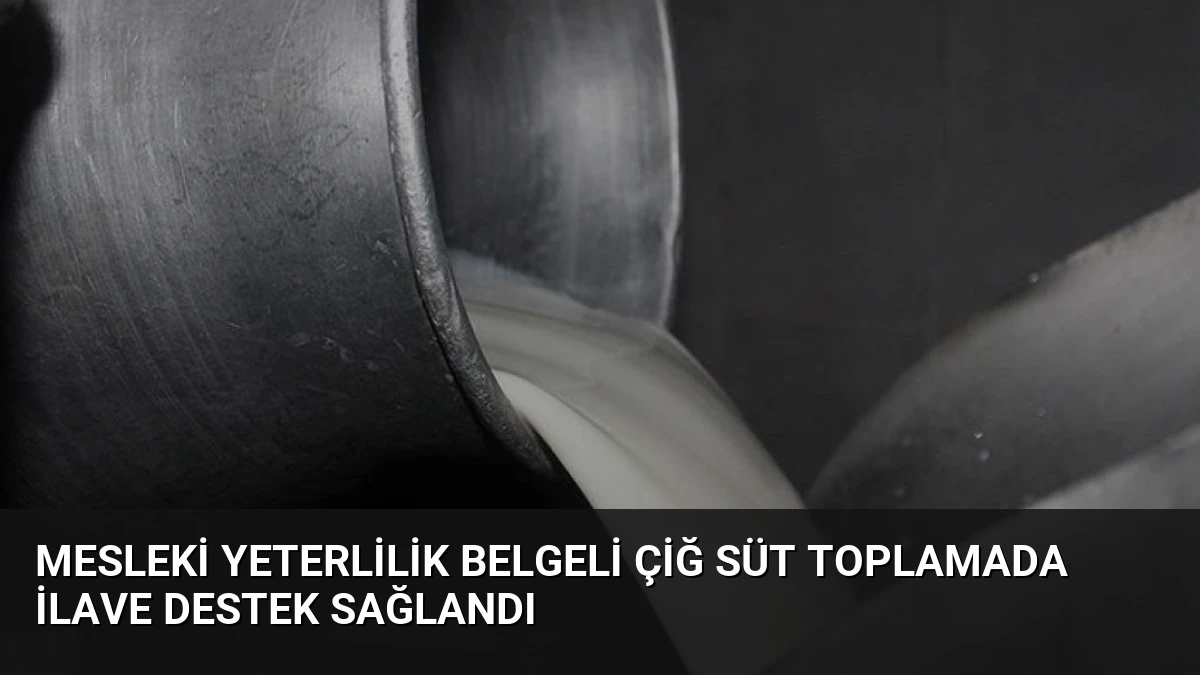 Mesleki Yeterlilik Belgeli Çiğ Süt Toplamada İlave Destek Sağlandı