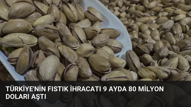 Türkiye’nin Fıstık İhracatı 9 Ayda 80 Milyon Doları Aştı
