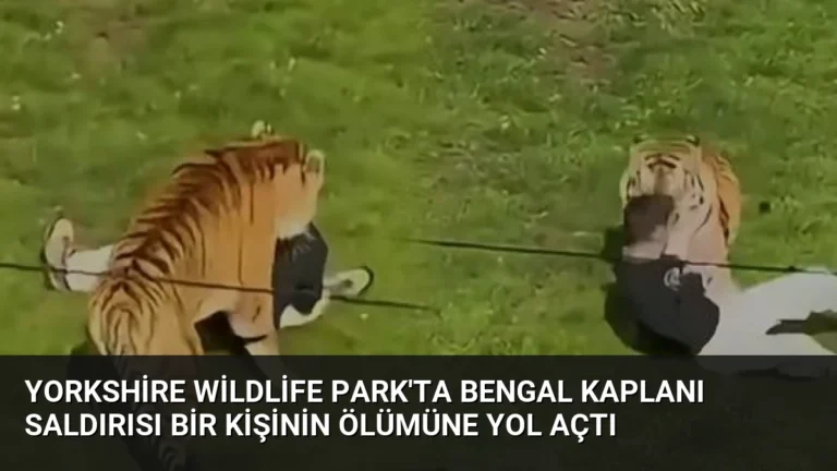 Yorkshire Wildlife Park’ta Bengal Kaplanı Saldırısı Bir Kişinin Ölümüne Yol Açtı